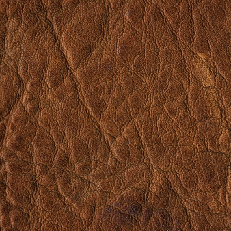 Stacks Image 670