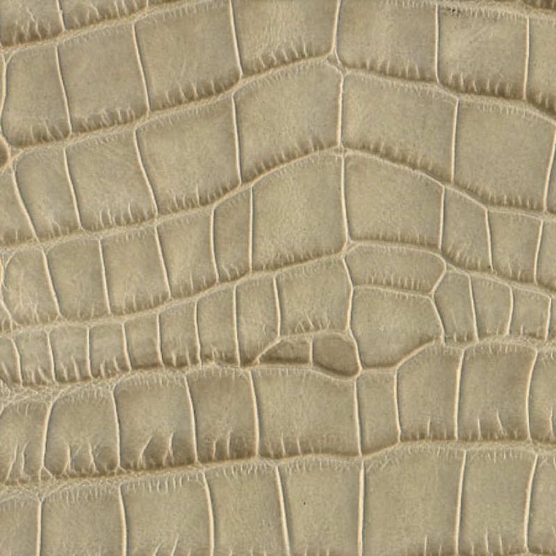 Stacks Image 702